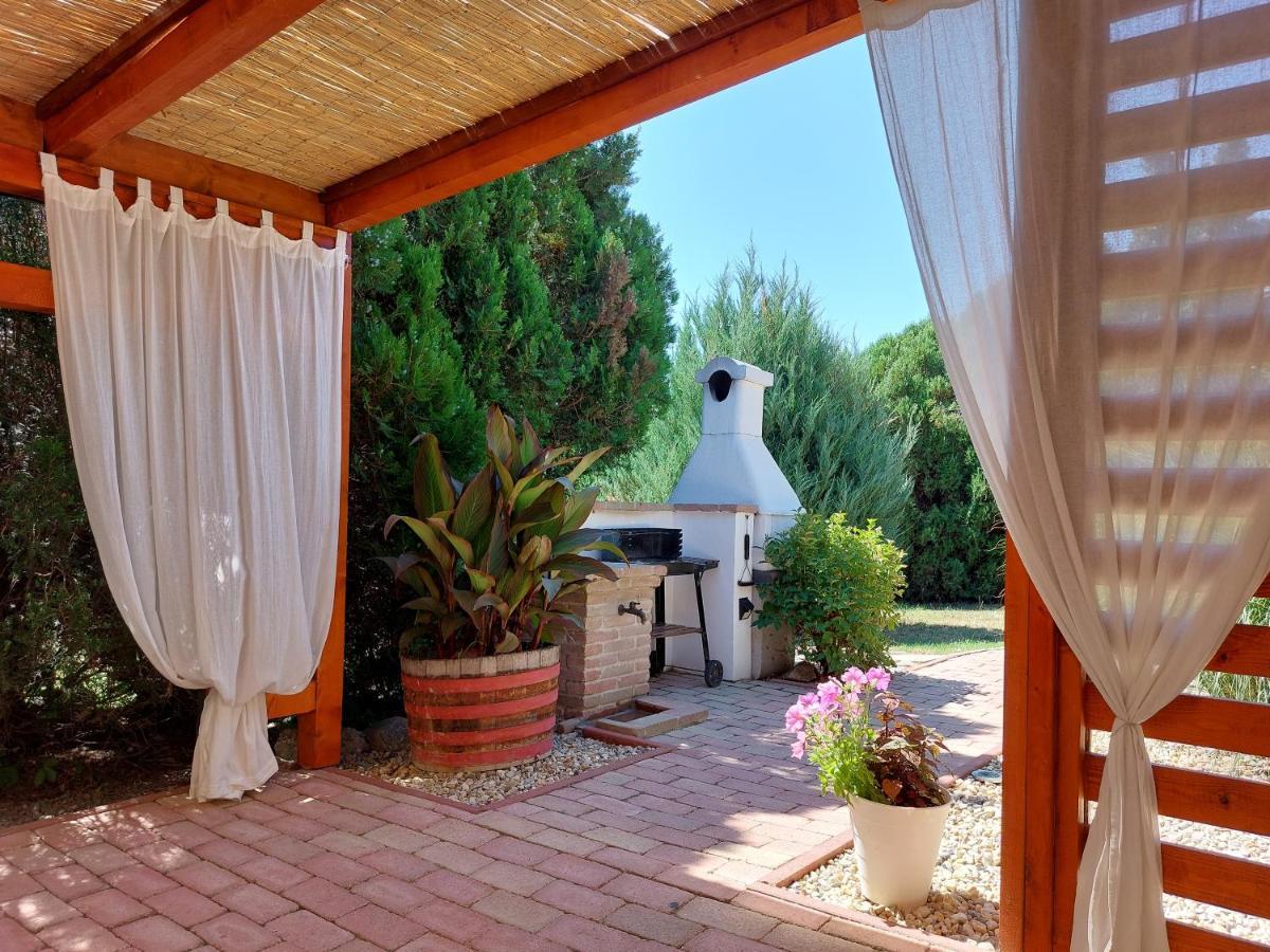 Apartament Tulipan Vendeghaz *