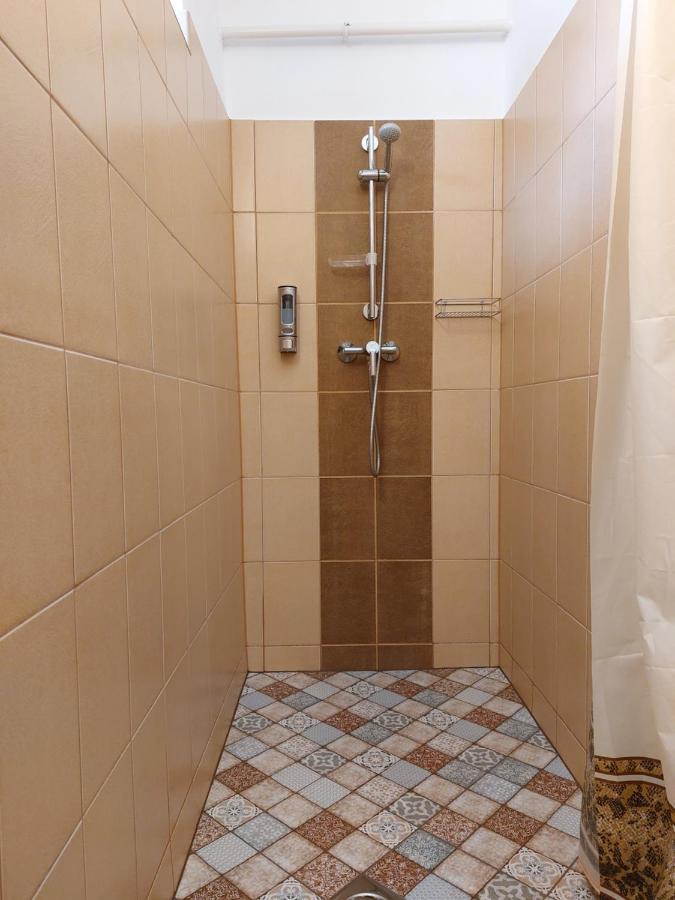 Tulipan Vendeghaz Sárospatak