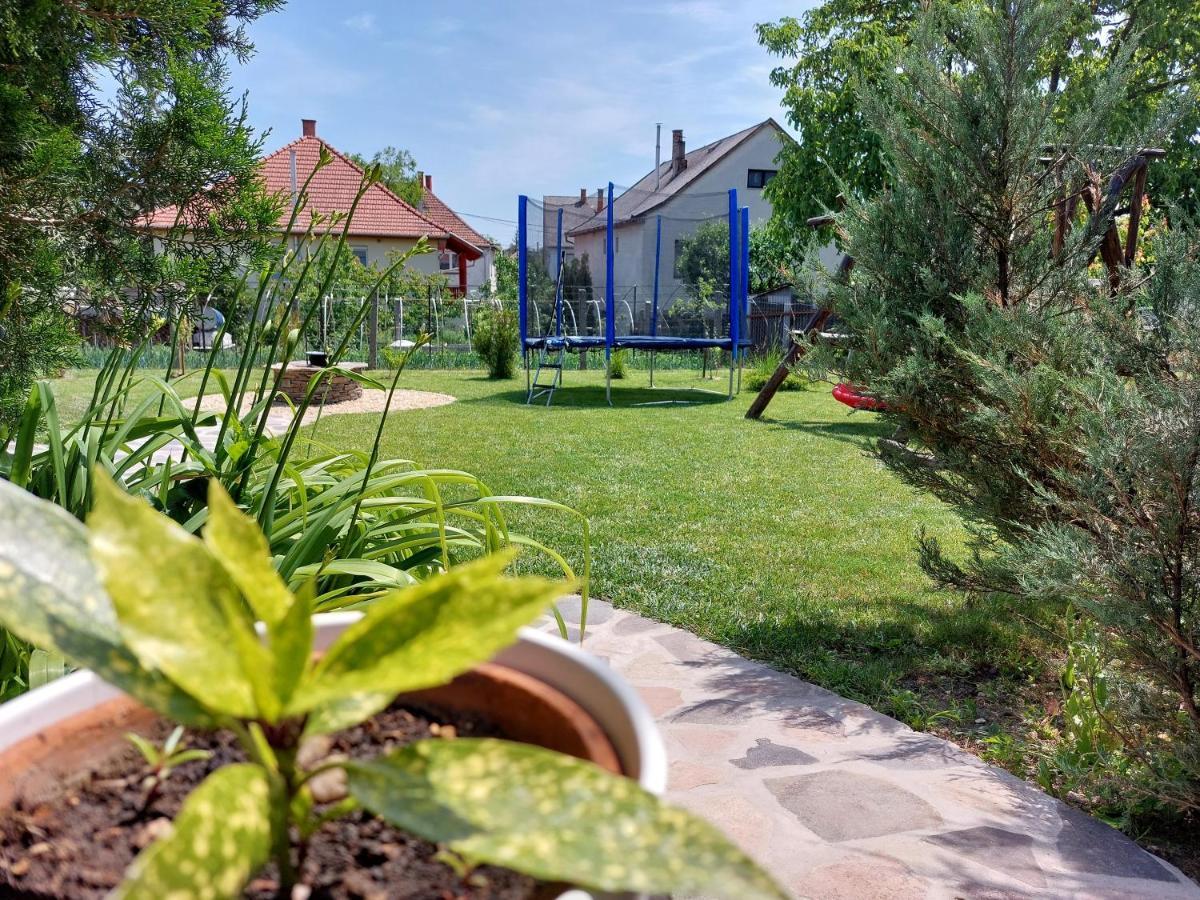 Tulipan Vendeghaz Sárospatak