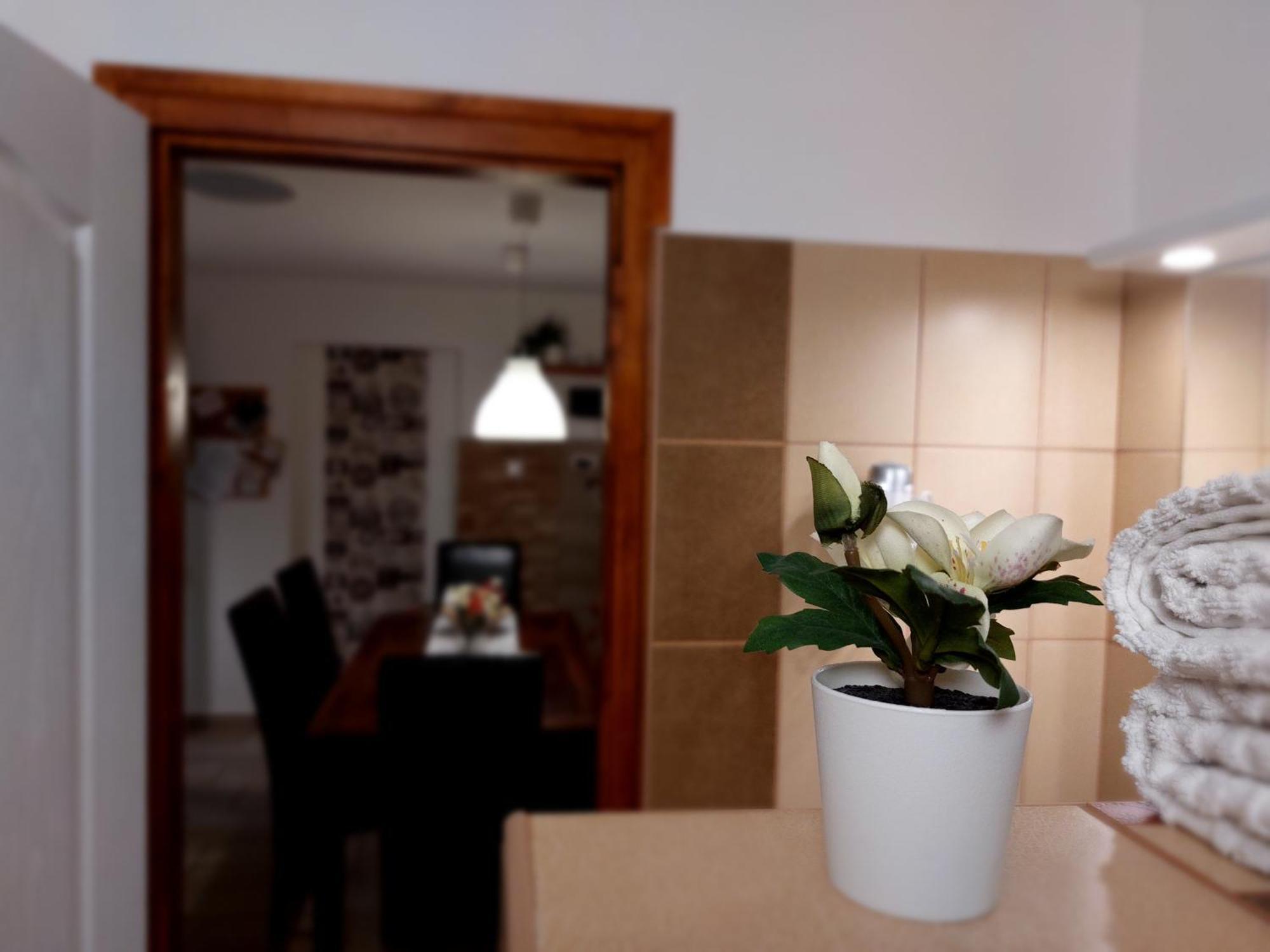 Apartament Tulipan Vendeghaz *