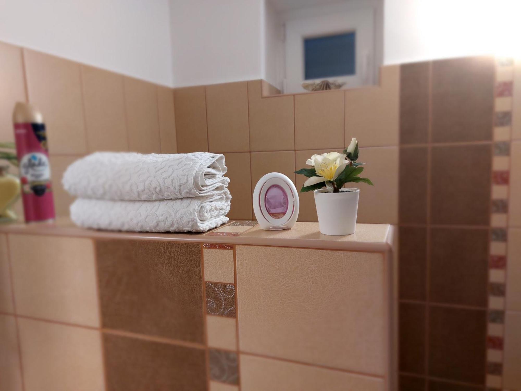 Apartament Tulipan Vendeghaz *